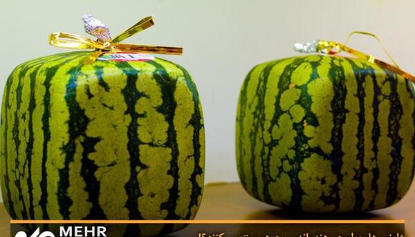 عکس هندوانه سیاه ژاپنی