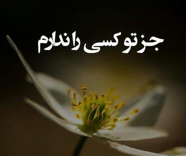 عکس نوشته تو و دیگر هیچ