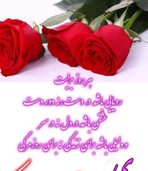 عکس تولد خواهرم زهره