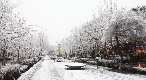 عکس قبر سهراب سپهری