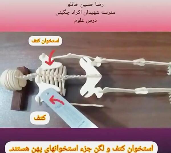 عکس اسکلت کاردستی