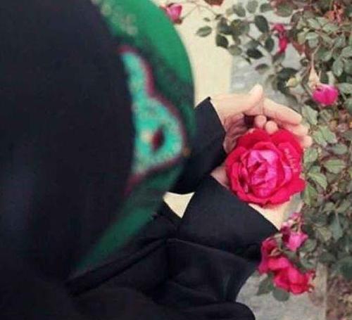 عکس گل برای پروفایل دختر