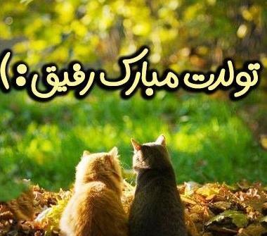 عکس تولدم مبارک رفیق