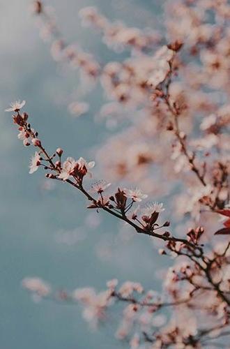 عکس بک گراند قشنگ