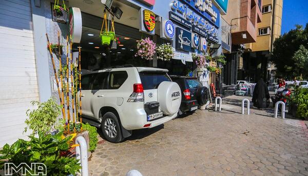 عکس روز گل و گیاه