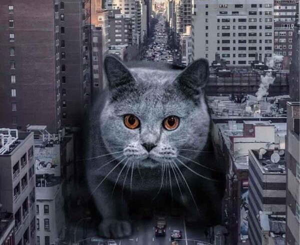 عکس ساختمان غول پیکر