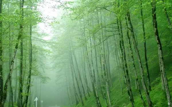 عکس دریا گیسوم