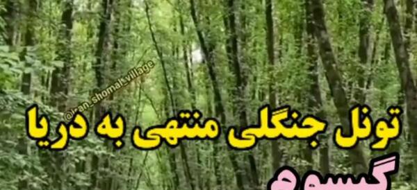 عکس دریا گیسوم