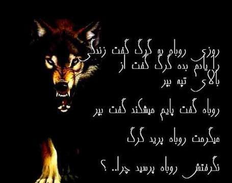 عکس نوشته های گرگ