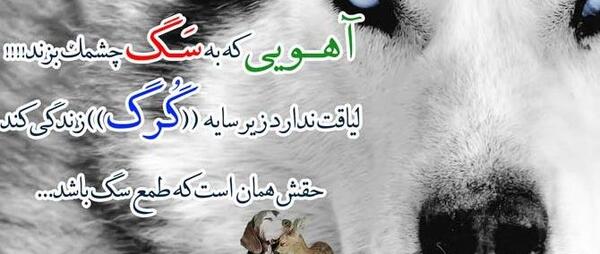 عکس نوشته های گرگ