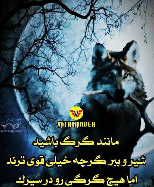 عکس نوشته های گرگ