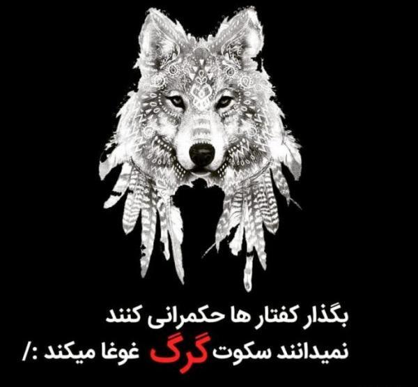 عکس نوشته های گرگ