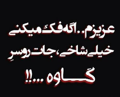 عکس نوشته شاخ مشکی