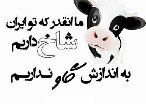 عکس نوشته شاخ مشکی