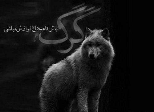 عکس نوشته شاخ مشکی