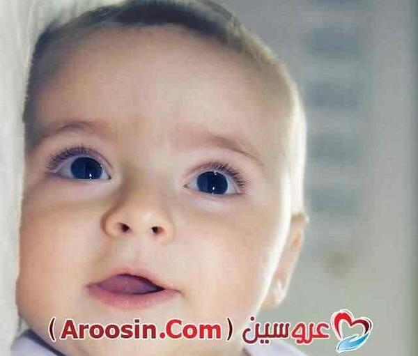 آلبوم عکس آتلیه کودک