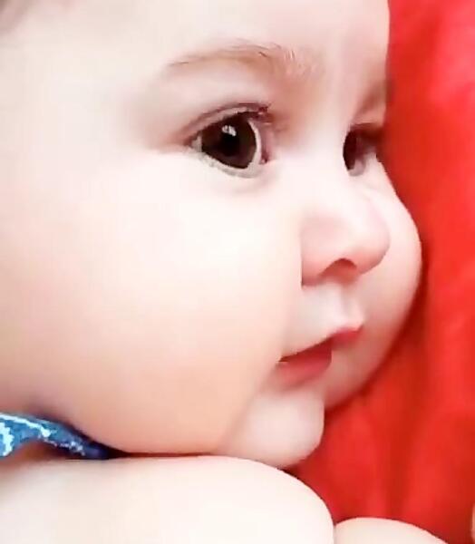 عکس سگ نی نی کوچولو