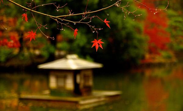 عکسهای منظره های زیبای عاشقانه