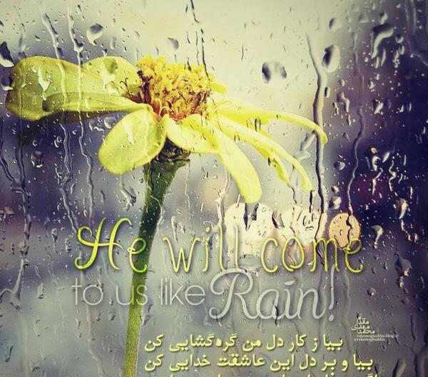 عکس های فروردین ماهی ها
