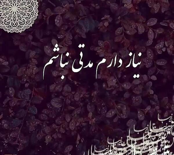 عکس های طالبان کثیف