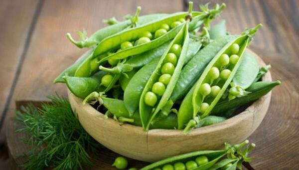 عکس نوشته رفتن عشقت به سربازی