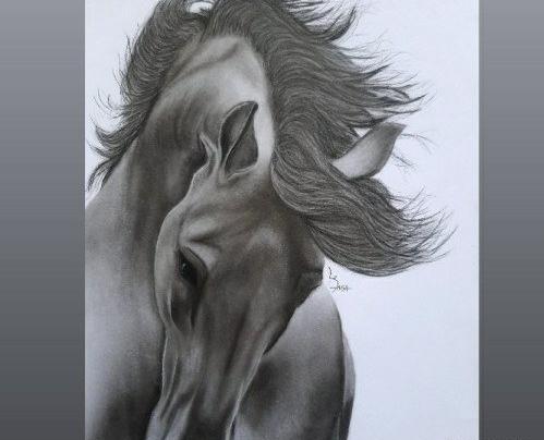 عکس مدل نقاشی سیاه قلم اسب