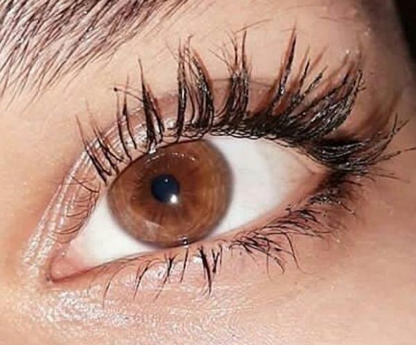 عکس چشم دختر رنگ قهوه ای