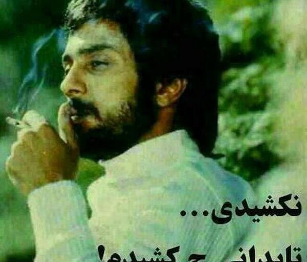 عکس نوشته دلم مثل دلت خونه شقایق