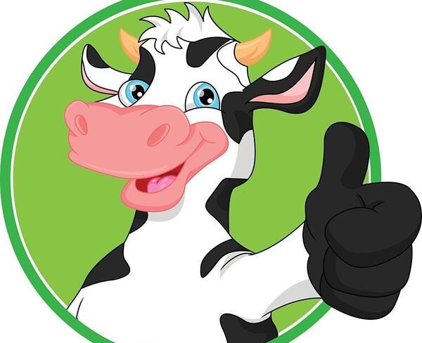 عکس گاو برای سال ۱۴۰۰