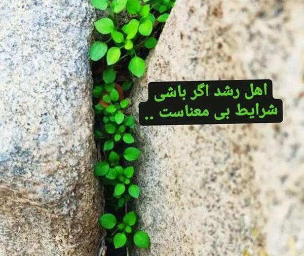 عکس پروفایل آموزنده زیبا
