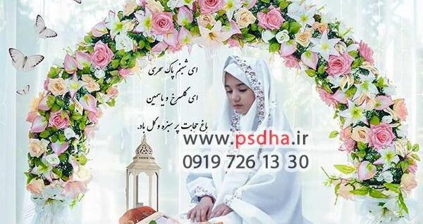 عکس گربه سفید فانتزی