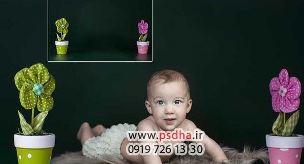 عکس گربه سفید فانتزی