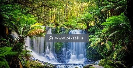 عکس ظرف غذای اتوماتیک سگ