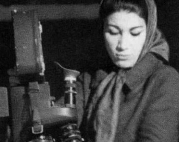 عکس نوشته پرواز را بخاطر بسپار پرنده مردنی است