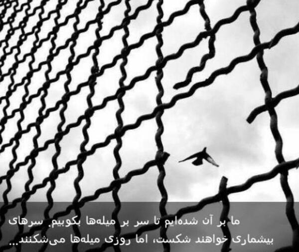 عکس نوشته پرواز را بخاطر بسپار پرنده مردنی است