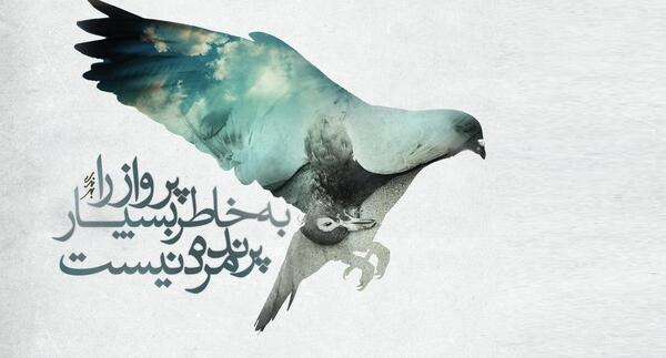 عکس نوشته پرواز را بخاطر بسپار پرنده مردنی است