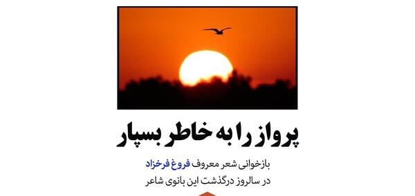 عکس نوشته پرواز را بخاطر بسپار پرنده مردنی است