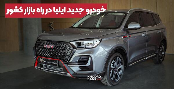 عکس توی دیگنیتی