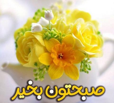 عکس گل صبح بخیر جدید