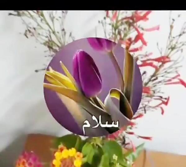 عکس گل صبح بخیر جدید