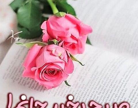 عکس گل صبح بخیر جدید