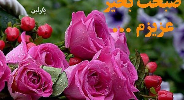 عکس گل صبح بخیر جدید