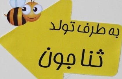 عکس تولد ثنا جان
