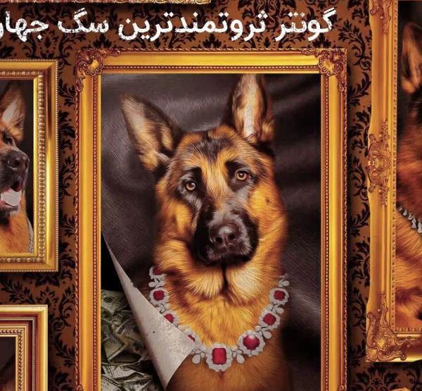 عکس سگ ثریا