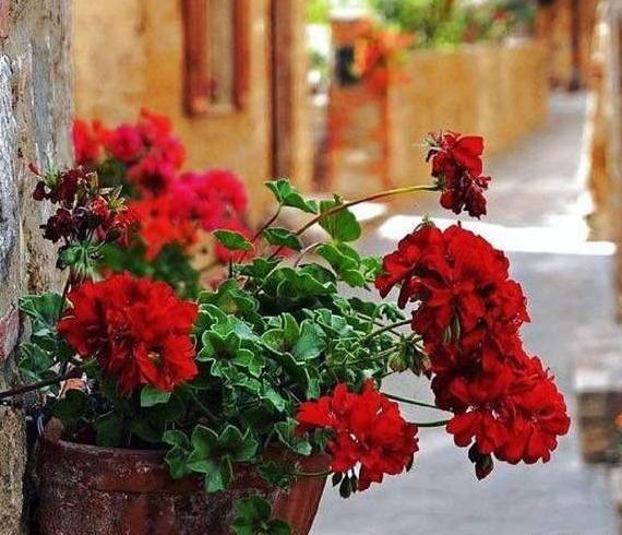 عکس نوشته خدایا شکرت که تو این هیاهوی