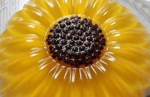عکس ژله گلدار