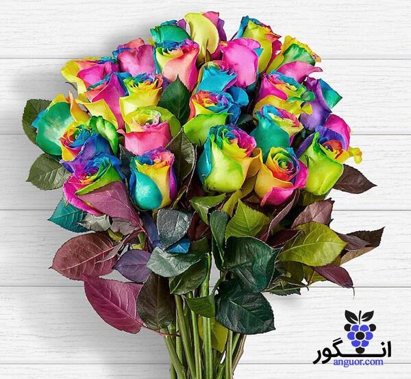 عکس گل طبيعي مخصوص پروفايل