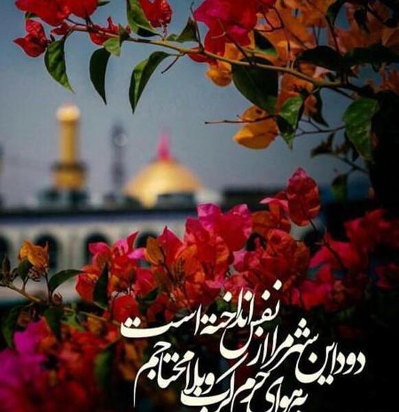 عکس نوشته شهدا هم نامحرم اند