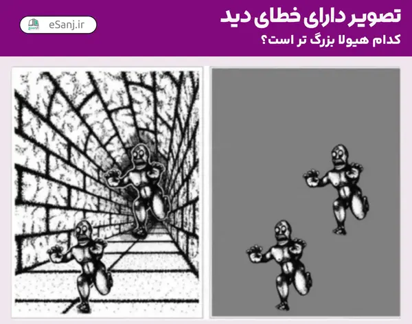 عکس خطای دید رنگی