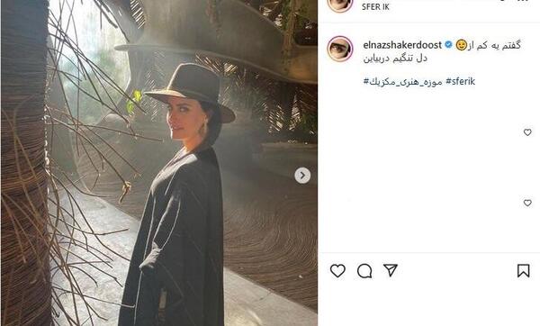 عکس الناز شاکردوست در اینستاگرام